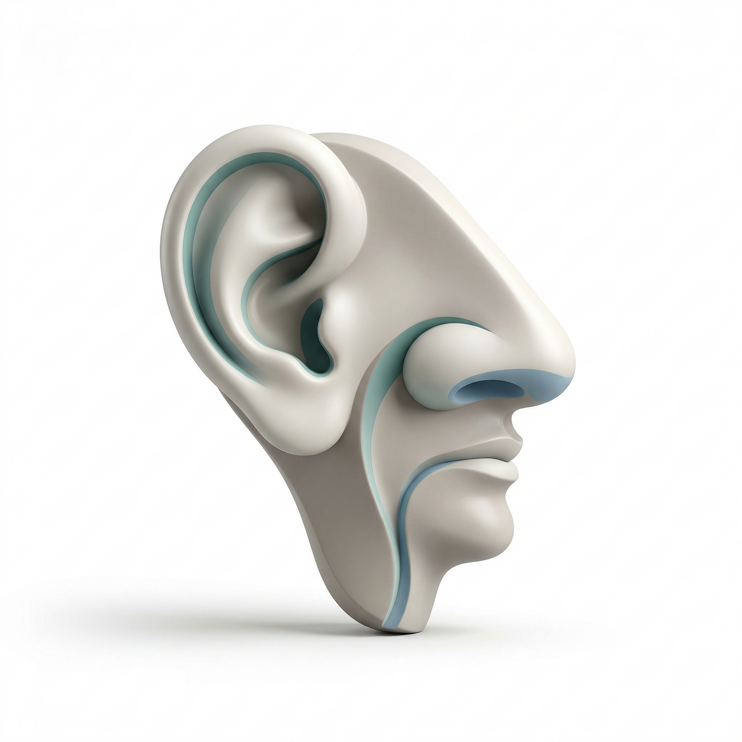 ENT (Otorhinolaryngology)