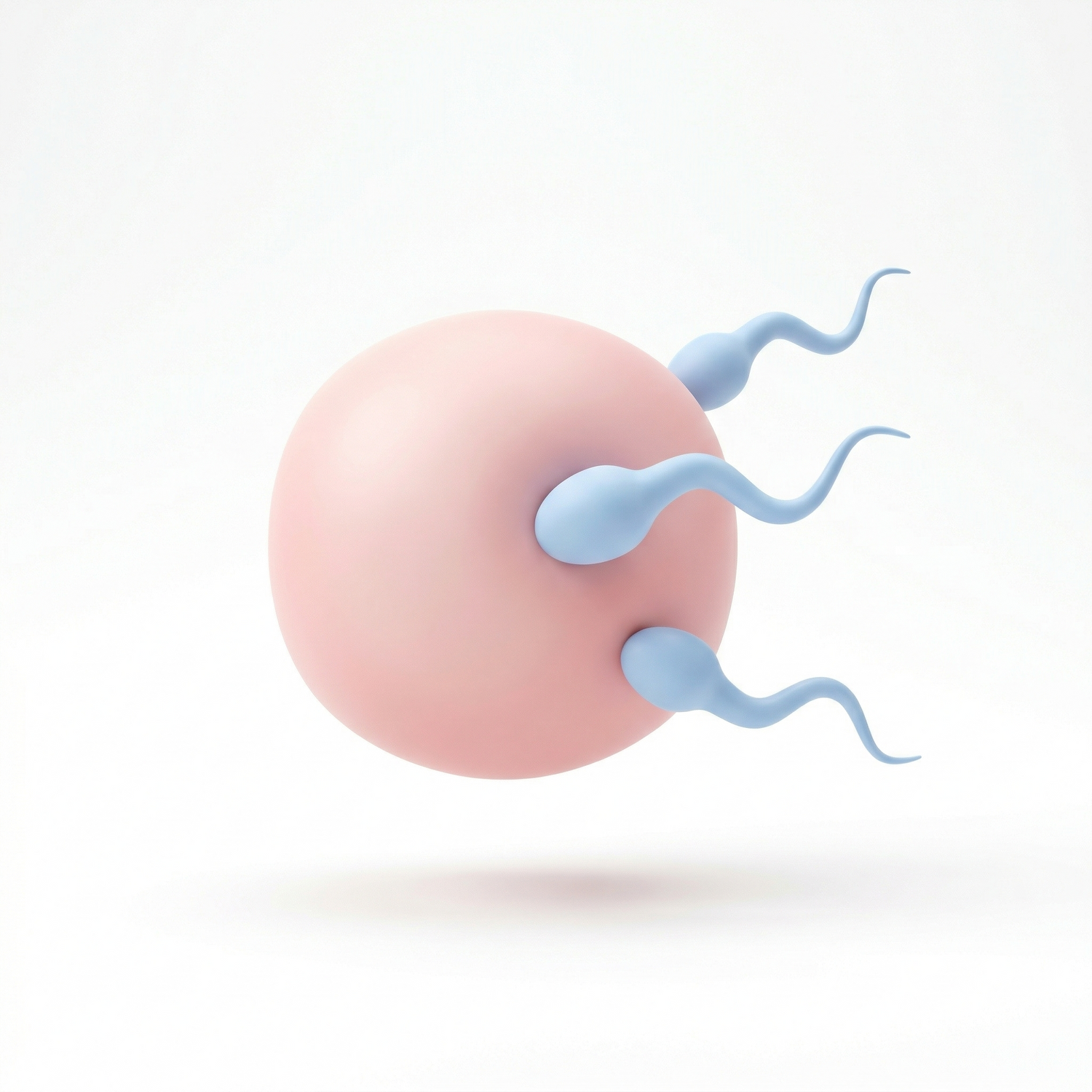 Fertility and IVF