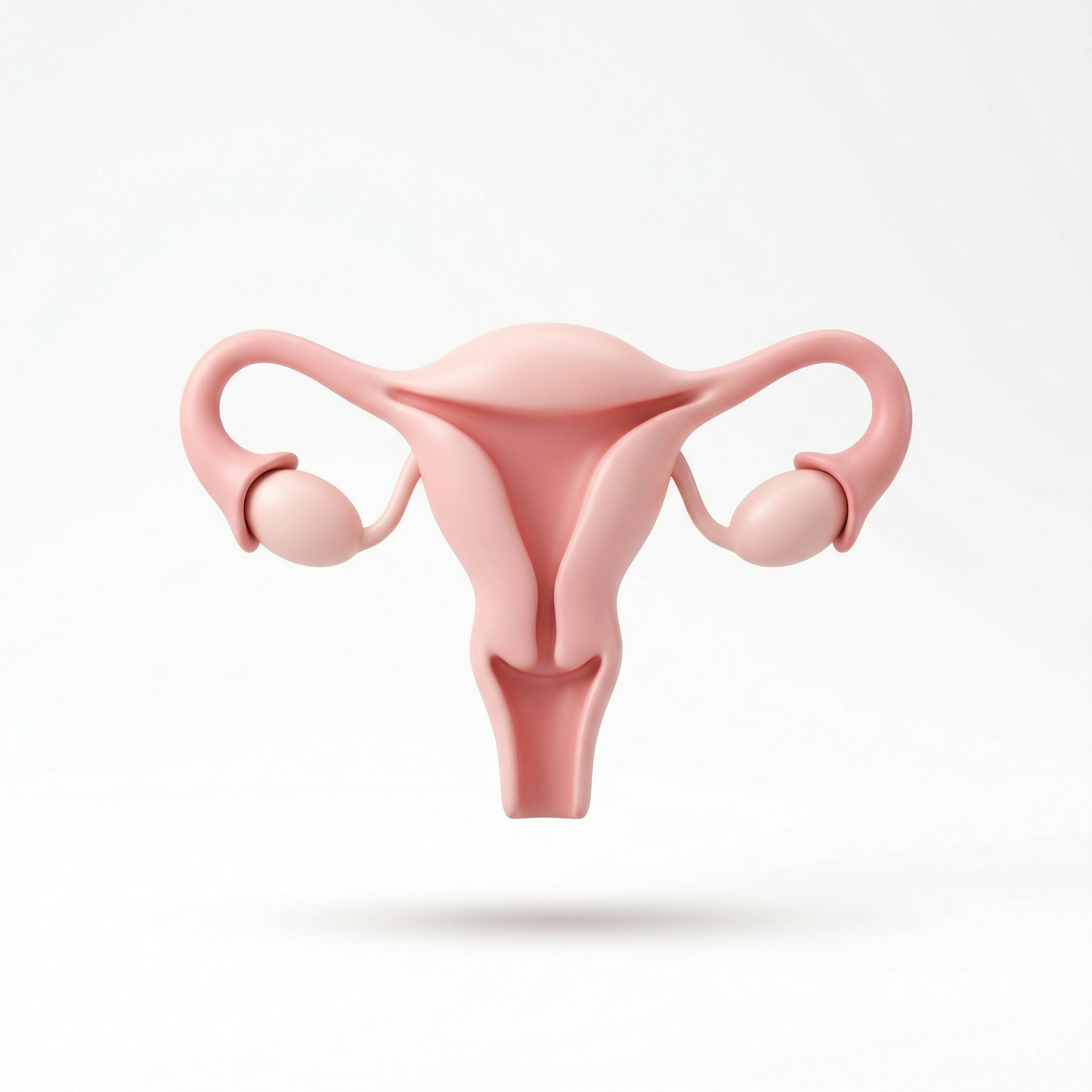 Gynaecology & Obstetrics